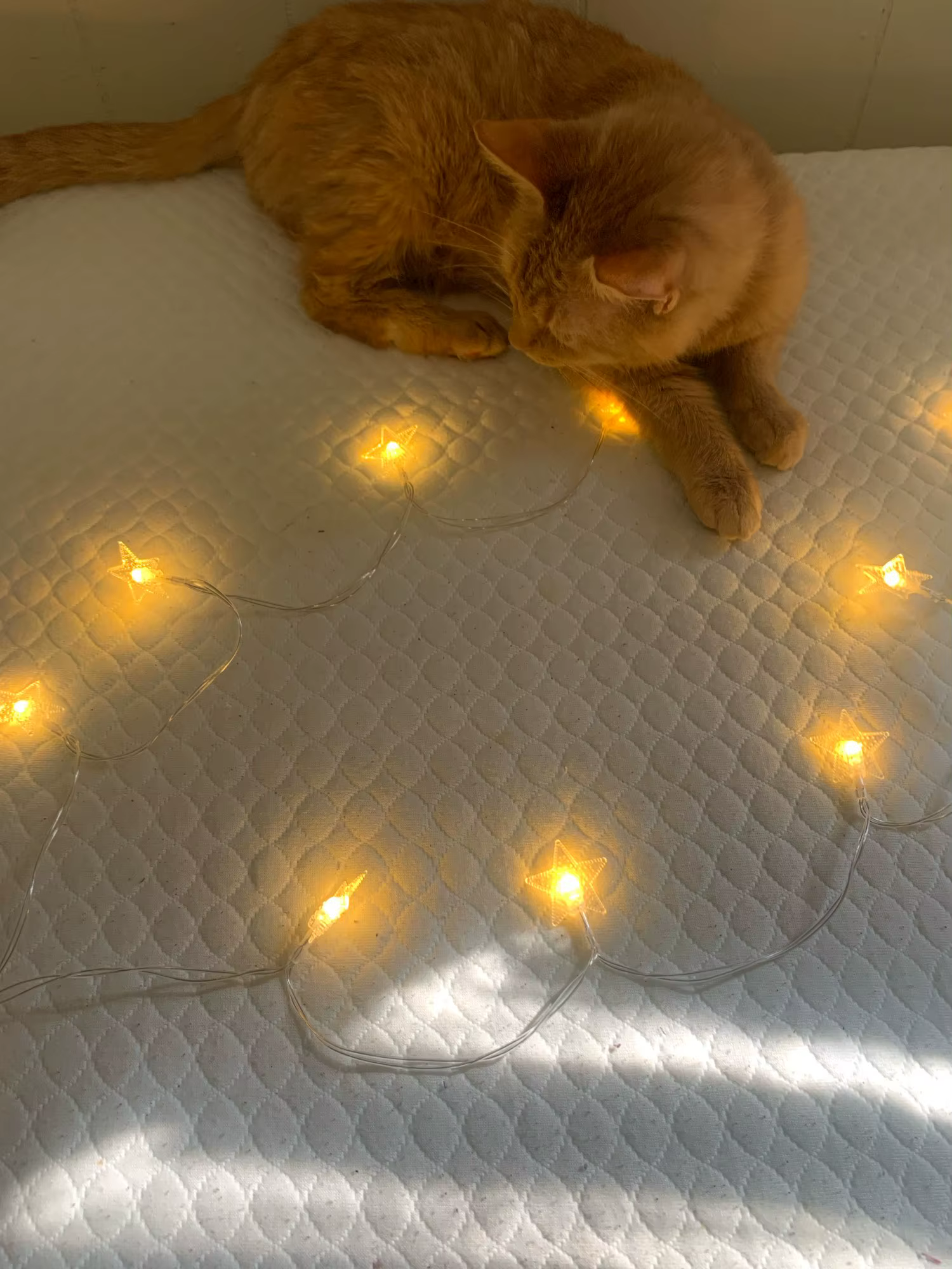 Stella – Guirnalda de luces led con estrellas